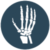 Hand, Wrist, and Elbow