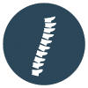 Spine, Neck, and Back